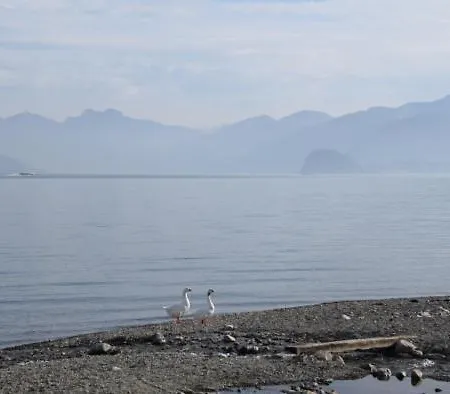 4-persoonsappartement Met Terras Aan Het Comomeer