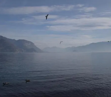 4-persoonsappartement Met Terras Aan Het Comomeer Vakantiehuis Acquaseria